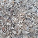 능선길 118 (1) 이미지