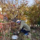 지리산 외갓집 이미지