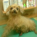 보륭약국 이미지