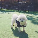 니멍내멍 이미지