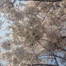 해바라기분식 이미지