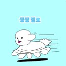 이동우체국 | 호치민 가 볼 만한 곳 사이공 중앙우체국 I 강아지랑 베트남 호치민 여행 EP.4