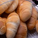 수원-1119 이미지