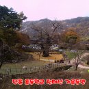 단촌1 네이버블로그