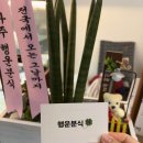 행운분식마트