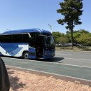 삼성투어협동조합 | 대구삼성라이온즈파크 직관 후기(먹거리, 3루 sky하단 지정석 u-31 2열 시야)