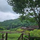 창원 자연숲 어린이집 | 창원 가볼만한 곳 아이랑 진해 드림파크 목재문화체험장