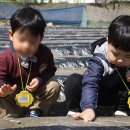 써니힐유치원 이미지