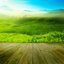 청천배수펌프장 이미지