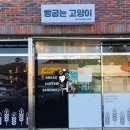 빵굽는고양이 이미지