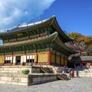 금촌전통시장 이미지