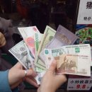 이화동물병원 | 이화인 해외봉사 활동 후기 | 중국 광저우 동물보호 봉사활동 (송채현 씨)