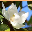 불교서원