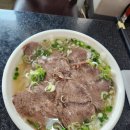 포 하노이