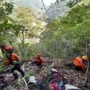 경주 119 구조대 출동 '덕동 산 추락 사고' 이미지