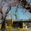 경주솔거미술관 이미지