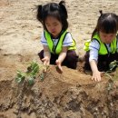 송죽농장 이미지