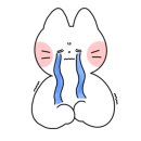 케이크체크 이미지