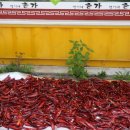 맹이네촌가 이미지