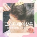 헤어그리다 | 임당역미용실 그리다헤어살롱 남자베이직펌후기 1인헤어샵