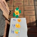 해조 | 박지현 완도 국제 해조류 박람회 행사 후기