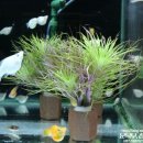 비즈아쿠아수족관 이미지