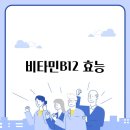 B12 이미지