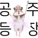 화경유도관 이미지