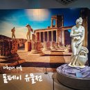 11560-여의도동01-127 | 입장료 할인받아 보자! 더현대 서울 <폼페이 유물전 - 그대, 그곳에 있었다> 전시 관람 후기