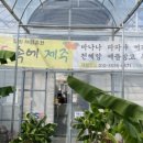 청도농원 이미지