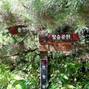 원당2리경로당 | 〔대전〕대청호 오백리길 21구간 “대청호 로하스길” ㅡ 오늘로 21구간을 걸으며 대청호오백리길을...
