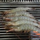 바다 속 이야기 네이버블로그