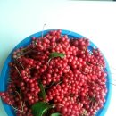 아침농장순창 이미지