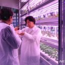 전용농장 이미지