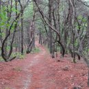 낙동리 농로 4 이미지