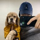 일편댕심 이미지