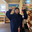 하와이 - 청주시 흥덕구 짐대로72번길 51 | 하와이 돌플랜테이션 후기, 키티 기념품부터 아이스크림까지