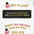 영오헬스 | 올영 오늘의 특가 대박템 모음! 3월 세일 지금 사야 할 추천 리스트🛒