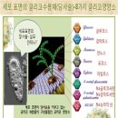 세계에서 가장 좋은 자연 당 영양소( Glyconutrients ) 이미지