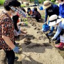 서초구치매안심센터 이미지