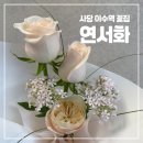 이수역 | 사당 이수역 꽃집 연서화 내돈내산 미니 꽃다발 후기