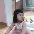 토마토어린이집 이미지