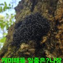 후모텔 이미지