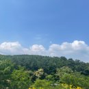 처핑(chirping)