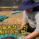 신만농장 이미지