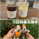 ㈜더세이프렌터카 | 제주공항 근처 카페 더라운지제주 더세이프렌터카 카페패스 이용 후기