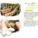 산지직거래 안동산약마(생마) 공구 - 특마,중소혼합마 (댓글 이벤트중) 이미지