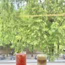 창원 용호동 카페 | 귀여운 멍루키가 있는 창원 가로수길 &#39;카페수르’