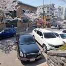 금낭화로26길 이미지