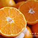 프레시멘토 이미지
